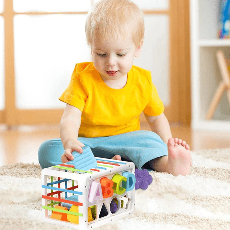 jouet-montessori-memoire-bebe