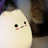 Veilleuse murale - Veilleuse chat pour déplacements nocturnes – Une  Veilleuse